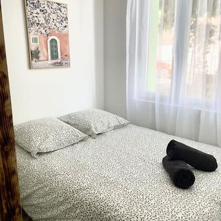 Appartement Le Briguiboul à Castres  Extérieur photo